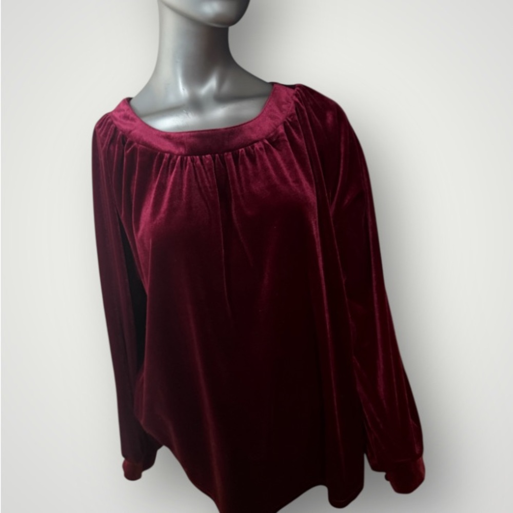 Umgee Velvet Burgundy Blouse